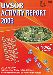 Activity Report 2003