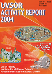 Activity Report 2004