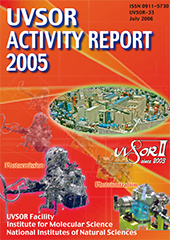 Activity Report 2005