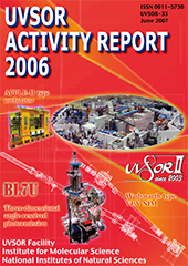 Activity Report 2006
