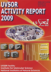 Activity Report 2009