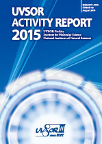 Activity Report 2015