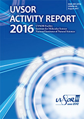 Activity Report 2016