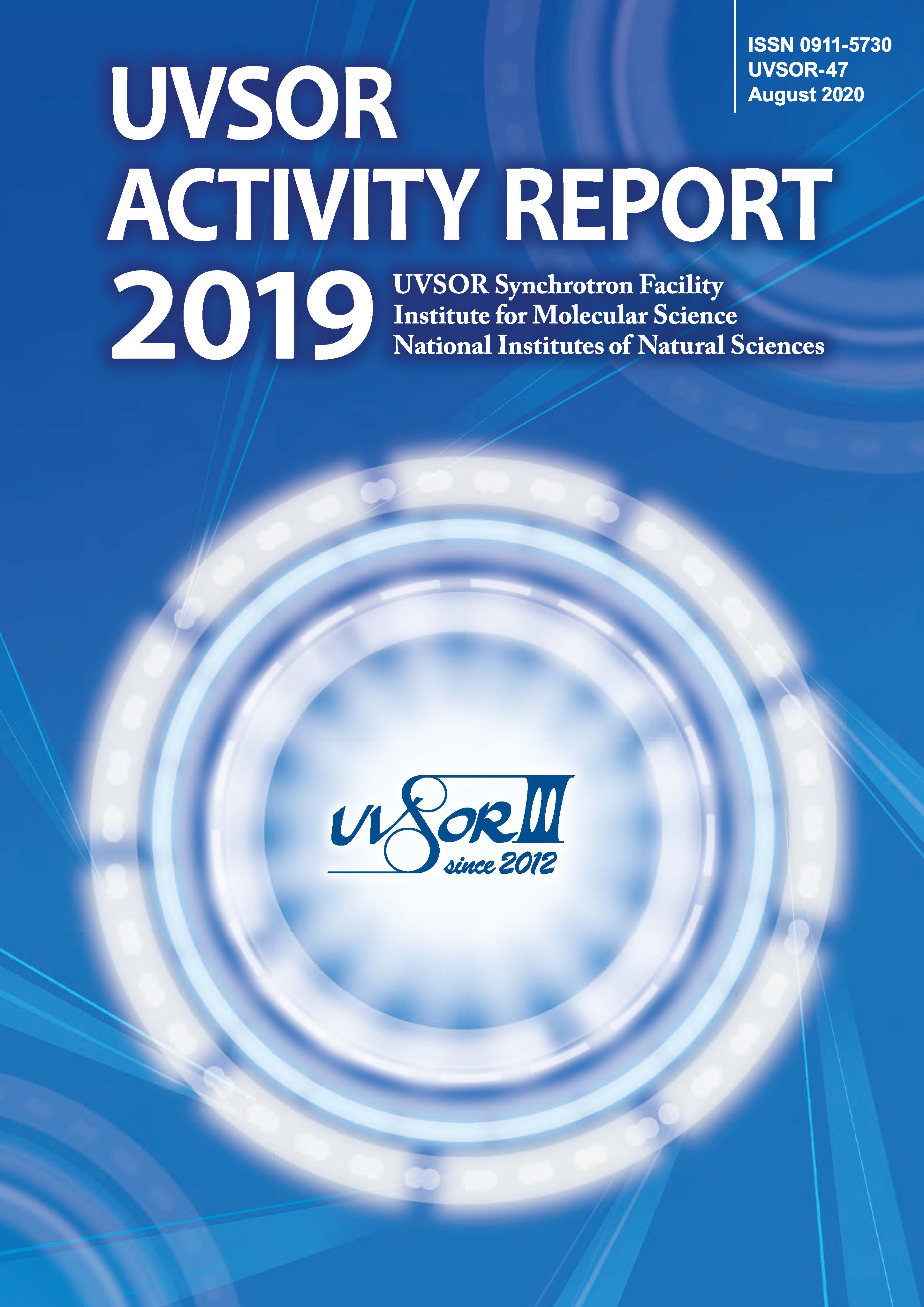 Activity Report 2019