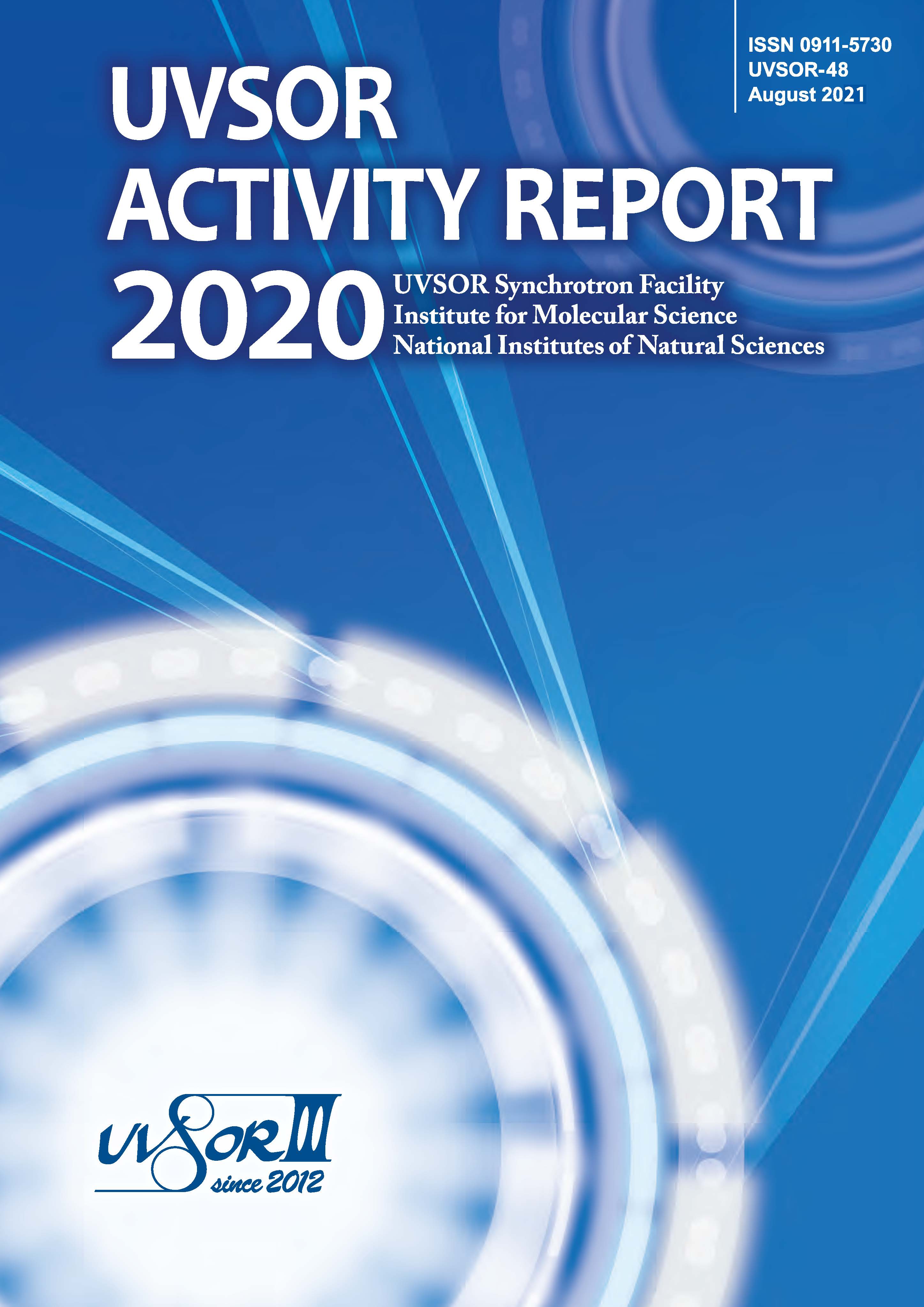 Activity Report 2020