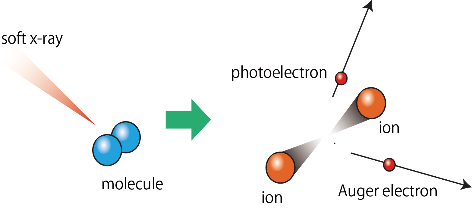 core photoionization of molecules