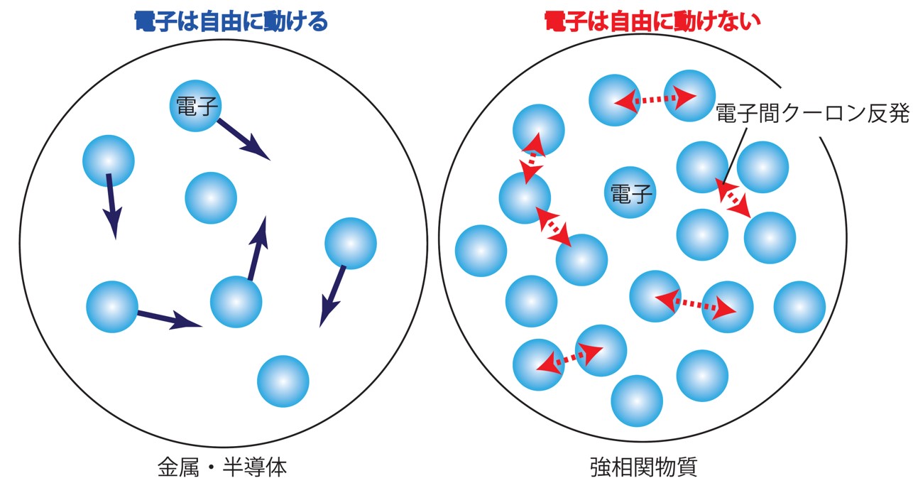 相関相互作用